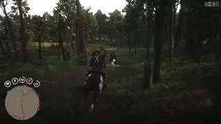 Red Dead Redemption 2 Bug noche