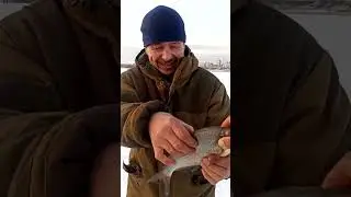 22 марта 2024 г.
