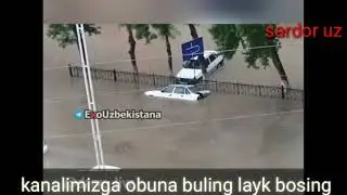 teskor habar toshkentda katta sel keldi moshinalardi axvoliga qarang