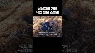 소방관이 가을 타면 이렇게 됩니다. 모두를 위해 산에 묻히길 선택한 소방관 #shorts
