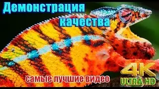 Демонстрация качества. Красоты мира в 4K Ultra HD