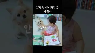 솜이 무서워하는 사랑이ㅋㅋ