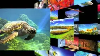 ImageAMMO (Benefits) Photo and Jukebox Apps