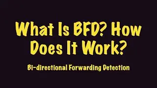 What Is BFD? How does It Work?