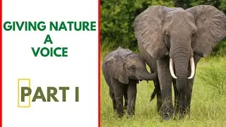 Giving Nature a Voice:  The Towering Beauty Part I