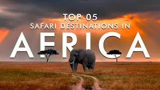 Top 5 Safari Destinations in Africa | Wildlife Safari | Big 5 Safari