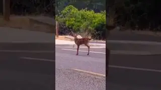 Ох уж эти папарацци...