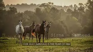 OLD BEST NASHEED | Sirna Abu Ali - English subtitles