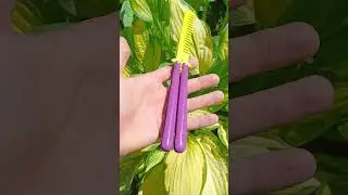 Фиолетово-зелёная расчёска в виде ножа-бабочки из фанеры! Подарил эту самоделку подруге! :)