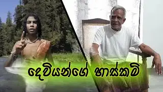 Miracles of God || දෙවියන්ගේ හාස්කම් || Hotta