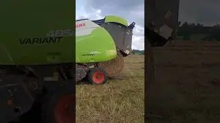 Прессуем сено #прессподборщик #claas #сенокос #полевые #мтз #farming
