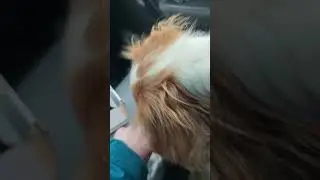 Пепельница в стиле BMW для Рено Колеос 