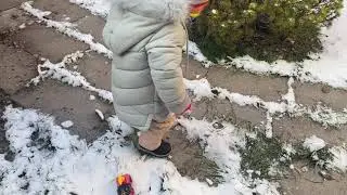 Новые приключения робокар поли и его друзья