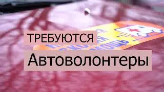 Требуются автоволонтеры