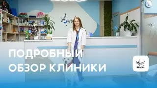 Обзор клиники 