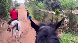 Fazenda Sengha