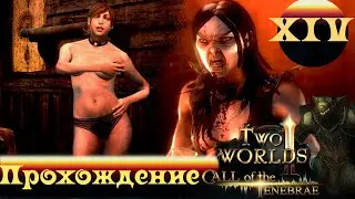 Two Worlds 2 CoT ➤ [Прохождение #14] ➤ Остров туманов, зоолог, бабочки