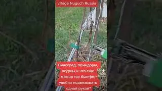 Доступный подвязчик растений ТАПЕНЕР
