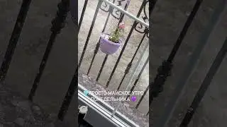 В домашний уют снег в мае принес еще больше шарма и тепла 🩵😅 (KatyaWorld)