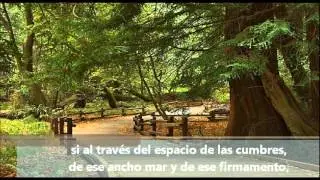 CARLOS AUGUSTO SALAVERRY | Acuérdate de Mí