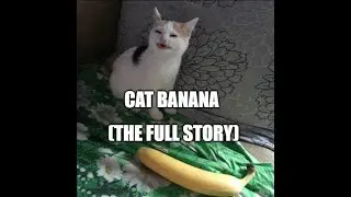 Cat Banana Lore