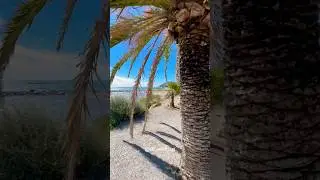 Sanremo Italy: Where Glamour Meets the Sea 🇮🇹 #viralvideos #italiantown #sanremo