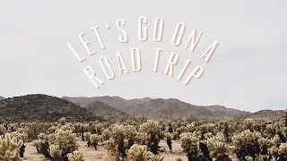 Let's go on a Road Trip :) [Joshua Tree]