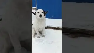 дашуля❤
