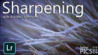 Sharpening in Adobe Lightroom | #AdobeLightroom #Sharpening #Lightroom #ImageEdits