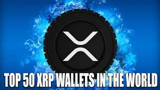 Top 50 XRP Wallets in the World Powered by Ripple 1