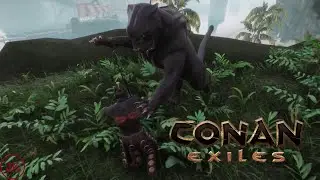 Conan Exiles #19 - Пиратский Залив