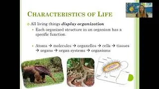 Characteristics of Life