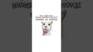 How does adolescence work?