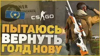 ПЫТАЮСЬ ВЕРНУТЬ ГОЛД НОВУ В НАПАРНИКАХ!!! || CS:GO