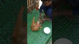 Karan se Sabji Katli 🥦 #trending #minivlog #youtubeshorts #shorts