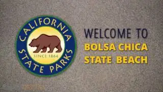 [DEMO] California State Parks | Bolsa Chica State Beach | Welcome