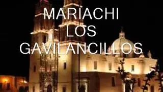 MARIACHI LOS GAVILANCILLOS