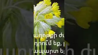 #Աղոթք առ Աստված