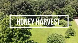 Beekeeping Honey Harvest