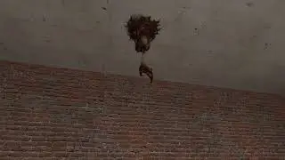 barnacle eats headcrab