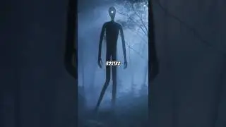 SLENDERMAN: El terror que acecha en la oscuridad
