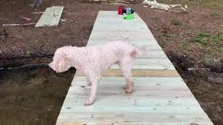 How to build a combination fixed and floating dock