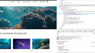 Primeros pasos con las Media Queries ( diseño responsive )