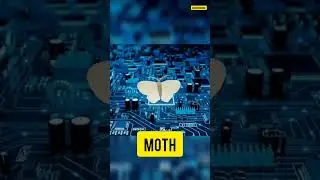World's first software🐞was not a code but a living creature 