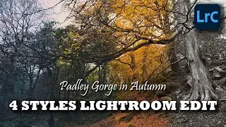Padley Gorge in Autumn 4 Styles | Peak District | Lightroom Edit