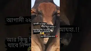 ২৯ তারিখে ঈদুল আযহা এর উপলক্ষে #tiktok #youtubeshভিডিওটি ভালো লাগলে আমার চ্যানেলটি সাবস্ক্রাইব করুন