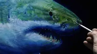 White shark