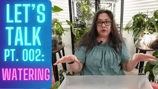 Hoya Watering Explained | Everything You Wanted To Know! | Let’s Talk Ep. 002