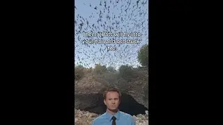 I'm allergic to scams AND bat myths 🙅‍♀️