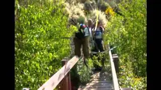 Camino de Santiago